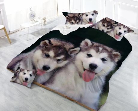 kliknutím zobrazíte maximální velikost obrázku