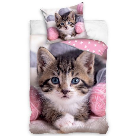 kliknutím zobrazíte maximální velikost obrázku