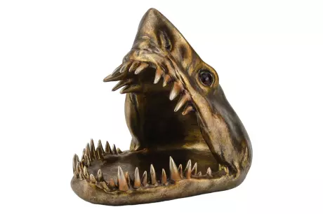 kliknutím zobrazíte maximální velikost obrázku kliknutím zobrazíte maximální velikost obrázku