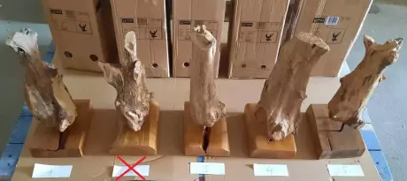 kliknutím zobrazíte maximální velikost obrázku