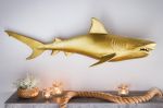 Nástěnná dekorace SHARK GOLD 105 CM pravá