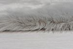 Kusový koberec Faux Fur Sheepskin Grey - 80x150 cm