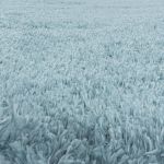 Kusový koberec Fluffy Shaggy 3500 blue - 80x150 cm