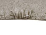Vlněný koberec Tundra - Blended Sheep Grey - 170x240 cm