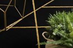 Kusový koberec Emerald geometric 1012 black and gold - 160x220 cm