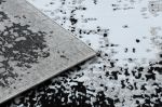 Kusový koberec Gloss 8493 78 Vintage grey/black - 80x150 cm
