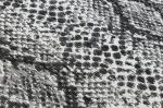 Kusový koberec Sion Sisal Snake`s skin 22162 ecru/black - 200x290 cm