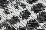 Kusový koberec Sion Sisal Snake`s skin 22162 ecru/black - 140x190 cm