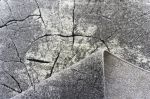 Kusový koberec Miami 129 Grey - 60x100 cm