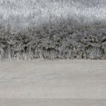 Kusový koberec Pearl Grey - 200x290 cm