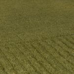 Kusový ručně tkaný koberec Tuscany Textured Wool Border Green - 120x170 cm