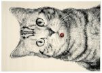 Kusový koberec Cat grey - 160x230 cm