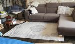 Kusový koberec Twin Supreme 103870 Cebu Grey/Cream – na ven i na doma - 80x150 cm