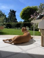 Kusový koberec Twin Supreme 103760 Corsica Grey/Cream – na ven i na doma - 120x170 cm