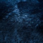 Kusový koberec Visco Rabbit Dark blue 10 kruh - 160x160 (průměr) kruh cm Kusový koberec Visco Rabbit Dark blue 10 kruh - 160x160 (průměr) kruh cm