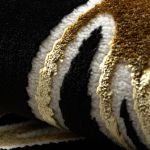 Kusový koberec Allure 1964 black/gold - 160x220 cm