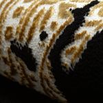 Kusový koberec Allure 1965 black/gold - 240x330 cm