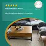 Kusový koberec Wolly 102842 kruh - 133x133 (průměr) kruh cm