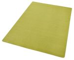 Světle zelený kusový koberec Fancy 103009 Grün - 100x150 cm