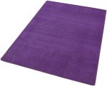 Kusový koberec Fancy 103005 Lila - fialový - 80x150 cm