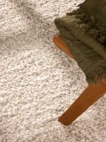 Běhoun Ted Baker Notting Hill 106343 Cream Beige - 80x300 cm