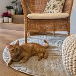 Kusový koberec Art 1121 Silver kruh - 120x120 cm