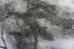 Kusový koberec Elite 23270 Grey - 140x190 cm