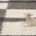 Kusový koberec Gala 2505 lightgrey - 120x170 cm