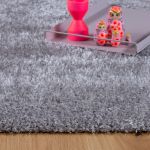 Kusový koberec Emilia 250 silver - 60x110 cm
