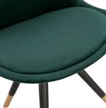 Jídelní židle MIKADO zelená/černá