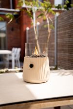 Cosiscoop Bowie pískově béžová