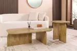 2SET konferenční stolek GATSBY 100/45 CM masiv mango