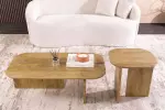 2SET konferenční stolek GATSBY 100/45 CM masiv mango