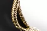 Nástěnné zrcadlo SNAKE XL 85 CM zlatá