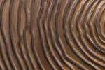 Komoda ZEN CIRCLE 3D 160 CM tmavě hnědá masiv mango Komoda ZEN CIRCLE 3D 160 CM tmavě hnědá masiv mango