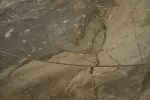 Jídelní stůl INCEPTION TAUPE 130-190 CM keramika rozkládací
