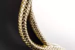 Nástěnné zrcadlo WILDLIFE SNAKE L 50 CM zlatá