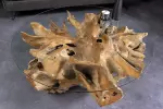 Konferenční stolek ROOT 100 CM masiv teak