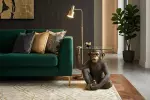 Konferenční stolek WILDLIFE KING APE 65 CM černá/zlatá