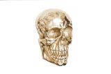 Nástěnná dekorace SKULL 40 CM zlatá