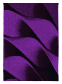 Kusový koberec Parma 9240 lila - 120x170 cm - 120x170 cm