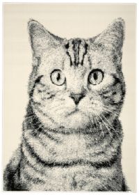 Kusový koberec Cat grey - 190x280 cm - 190x280 cm