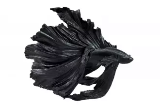 Soška FISH CROWNTAIL 36 CM černá