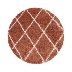 Kusový koberec Alvor Shaggy 3401 terra kruh - 120x120 (průměr) kruh cm