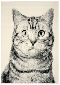 Kusový koberec Cat grey - 80x150 cm