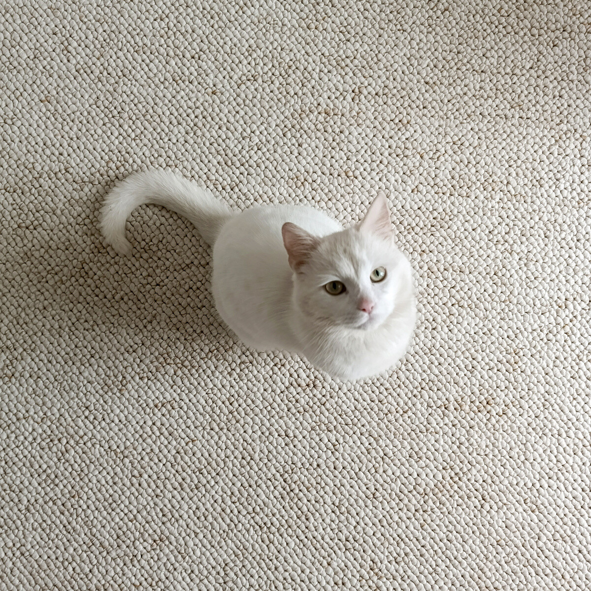 kliknutím zobrazíte maximální velikost obrázku kliknutít zobrazíte maximální velikost obrázku