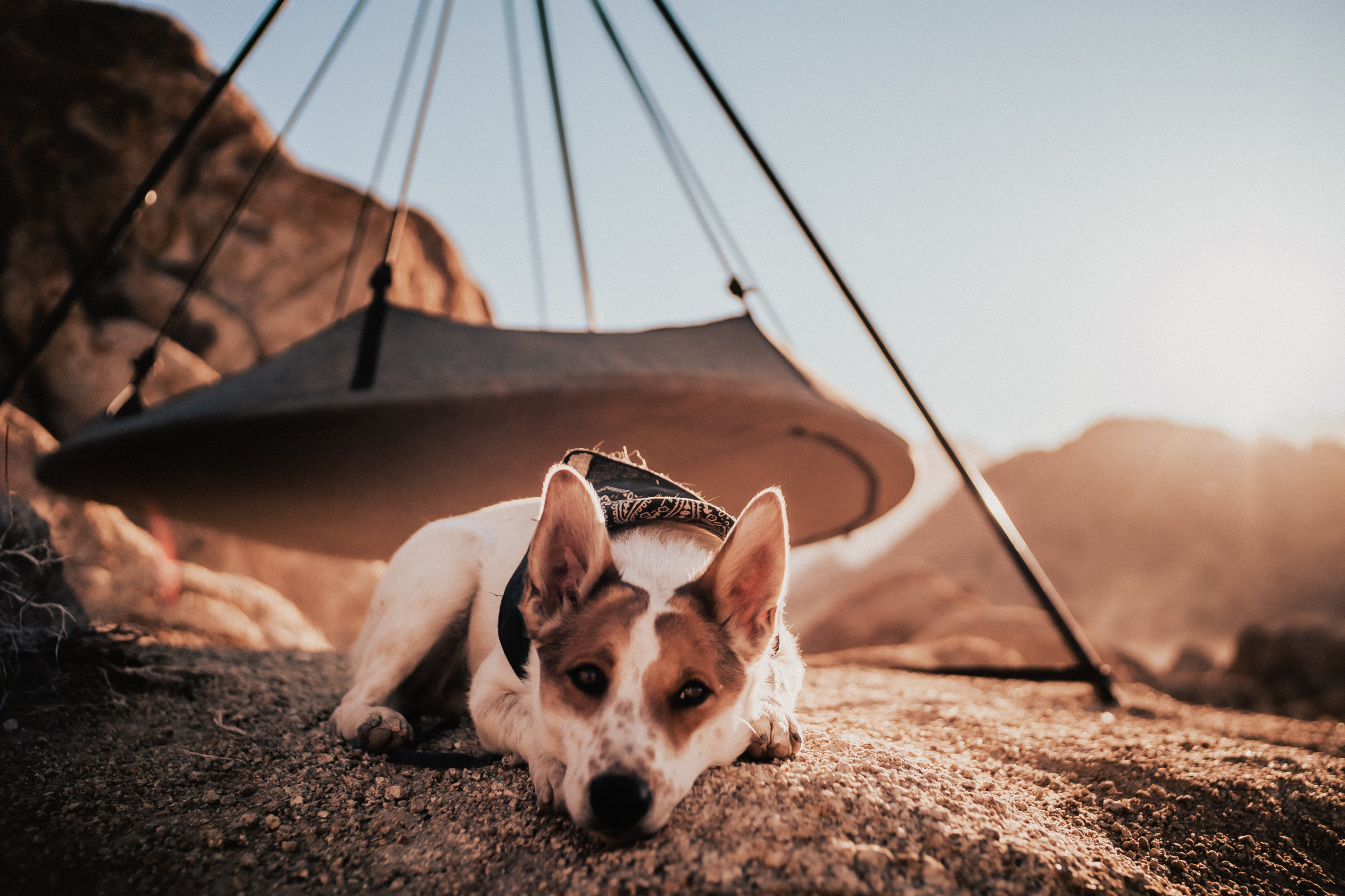 kliknutím zobrazíte maximální velikost obrázku kliknutít zobrazíte maximální velikost obrázku