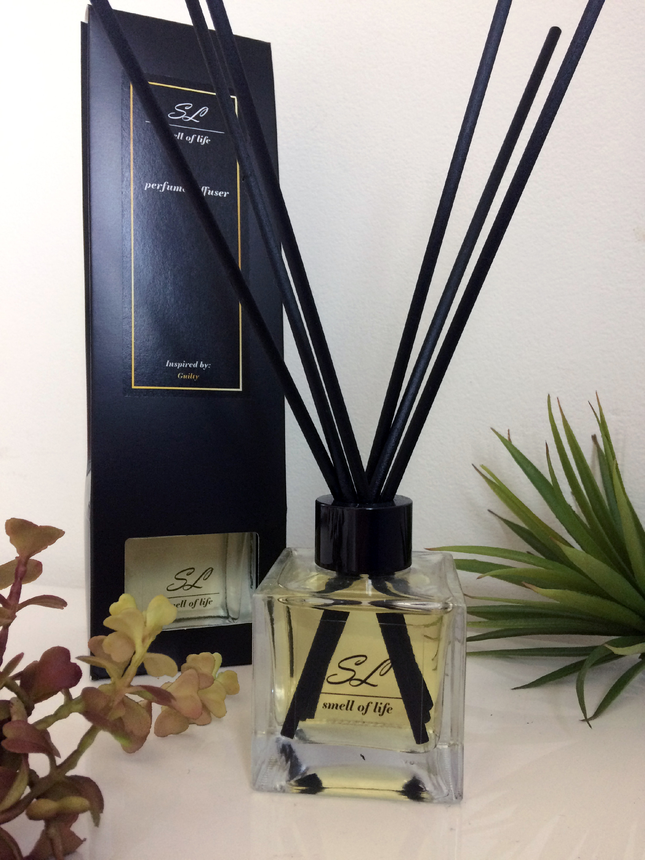 kliknutím zobrazíte maximální velikost obrázku kliknutít zobrazíte maximální velikost obrázku