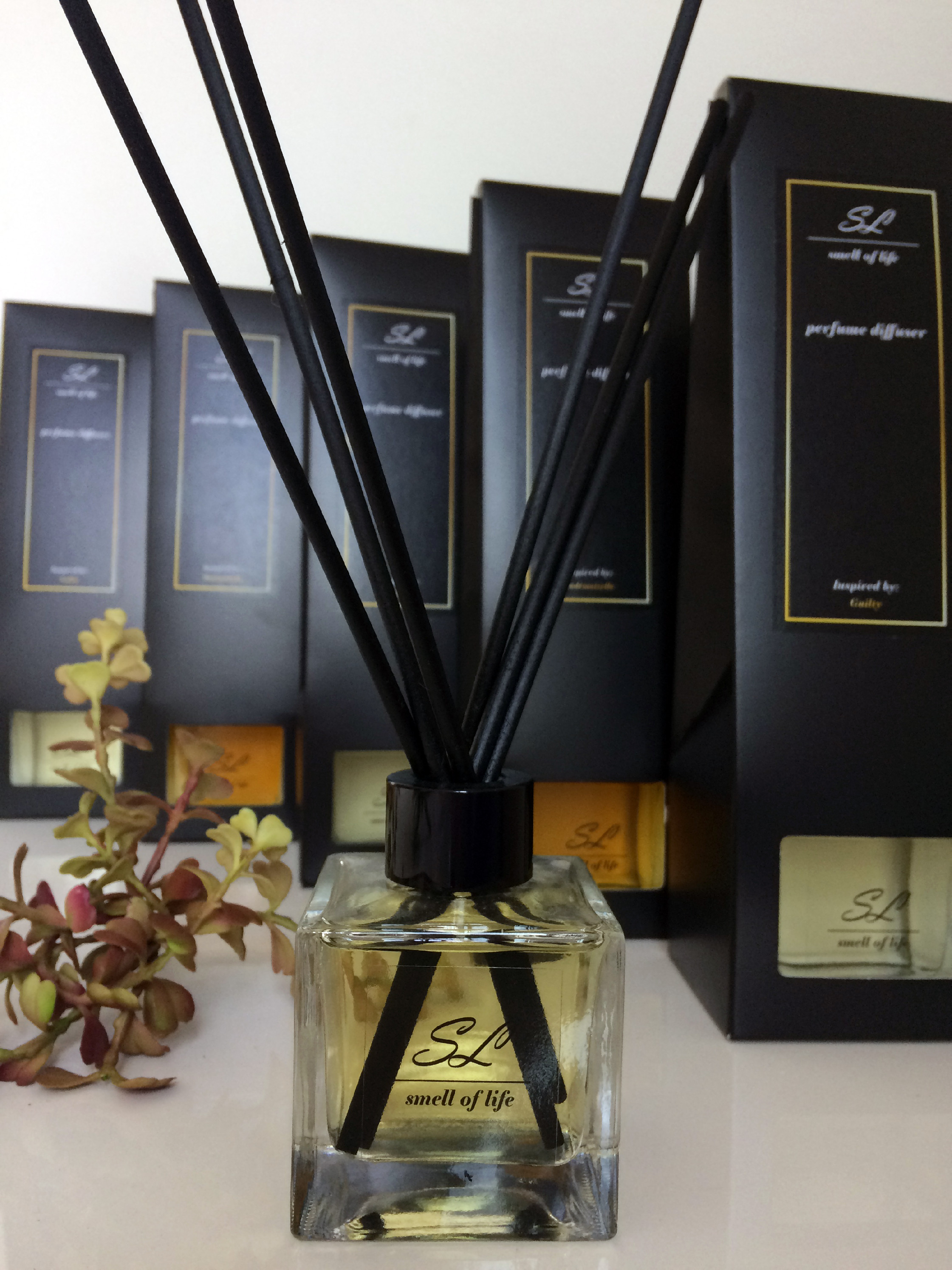 kliknutím zobrazíte maximální velikost obrázku kliknutít zobrazíte maximální velikost obrázku