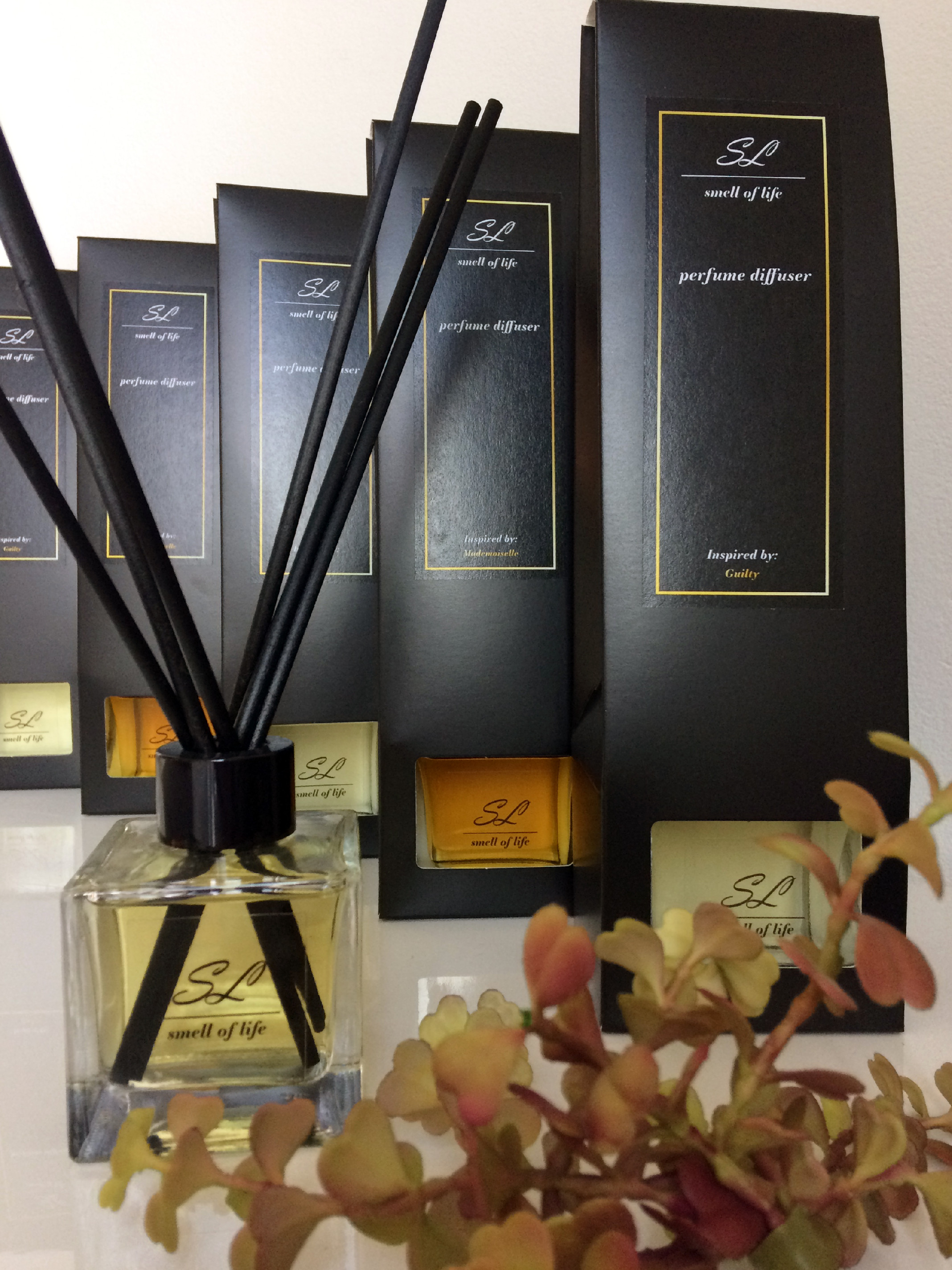 kliknutím zobrazíte maximální velikost obrázku kliknutít zobrazíte maximální velikost obrázku